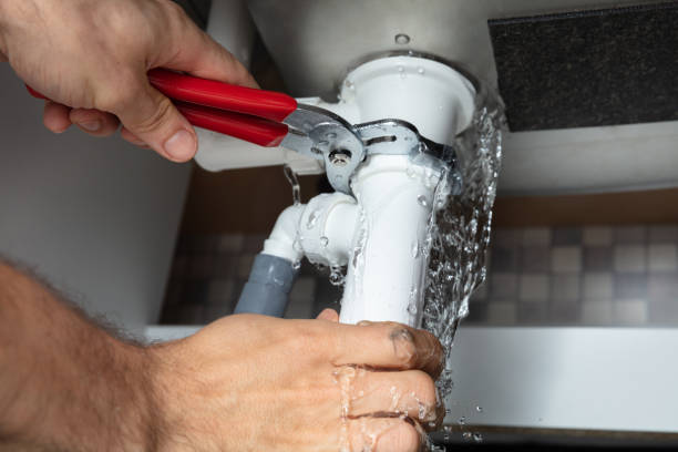 Best Water damage contractors near me  in Alorton, IL