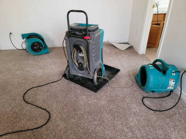 Best Commercial water damage restoration  in Alorton, IL