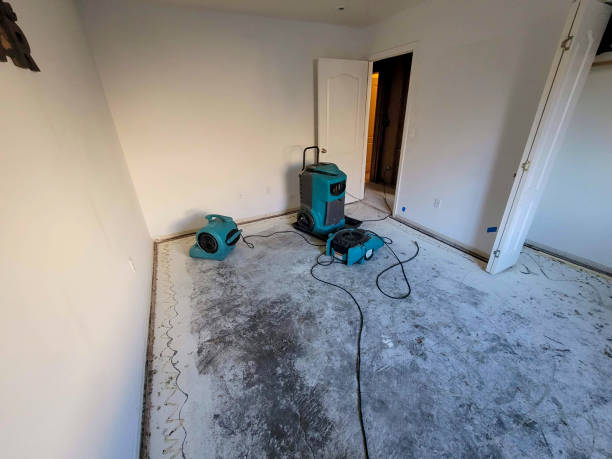 Best Water damage restoration cost  in Alorton, IL