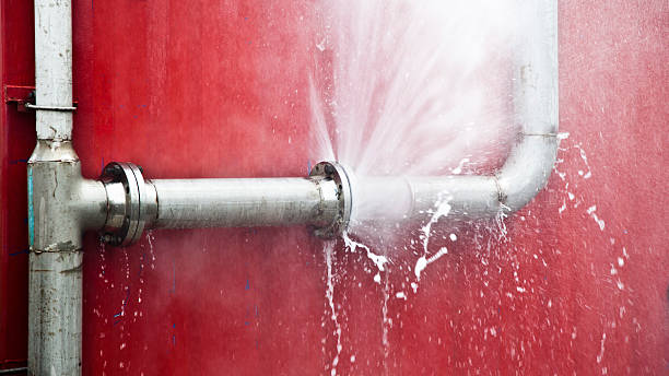 Best Water damage cleanup near me  in Alorton, IL