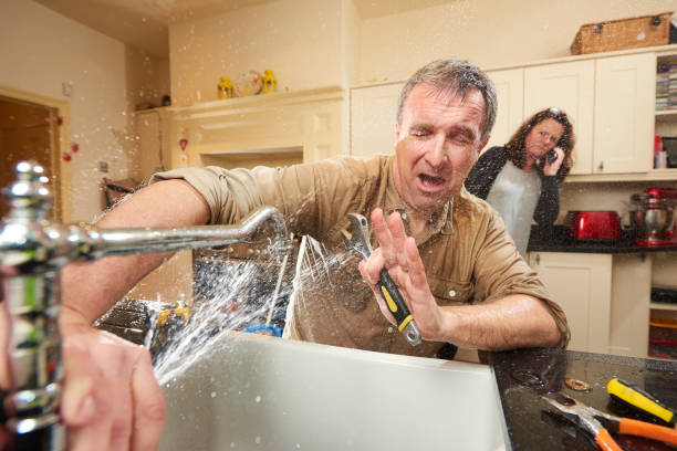 Best Water damage restoration experts  in Alorton, IL